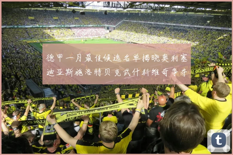 德甲一月最佳候选名单揭晓奥利塞迪亚斯施洛特贝克武什科维奇争夺荣耀