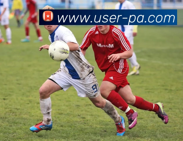 PA真人APP 封面图